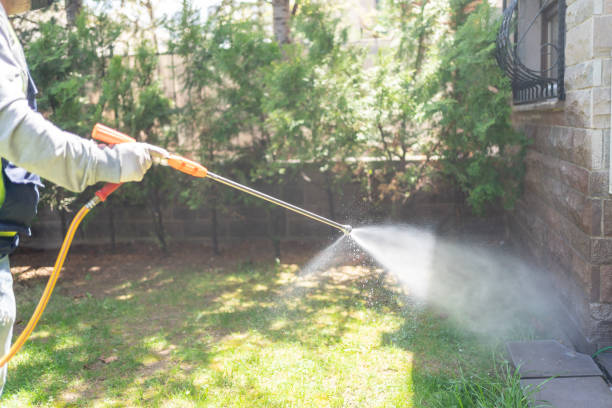 Best Best Pest Control Companies  in Wilmer, TX