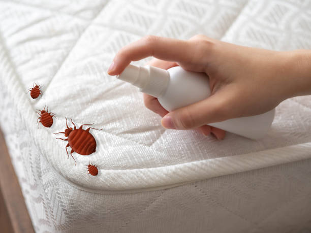 Best Exterminator Services  in Wilmer, TX