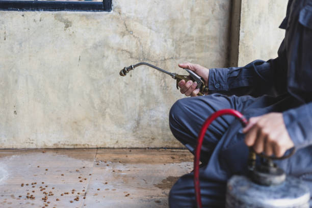 Best Termite Control Services  in Wilmer, TX